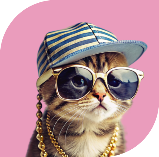 stylish cat