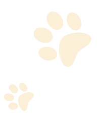 paws